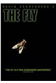 The Fly